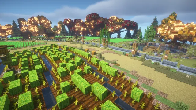 Harvest Farm Island, melon field