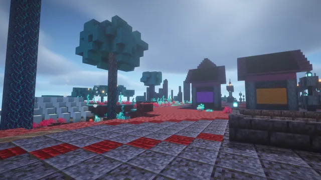 Nether Citadel Spawn, warped market ground