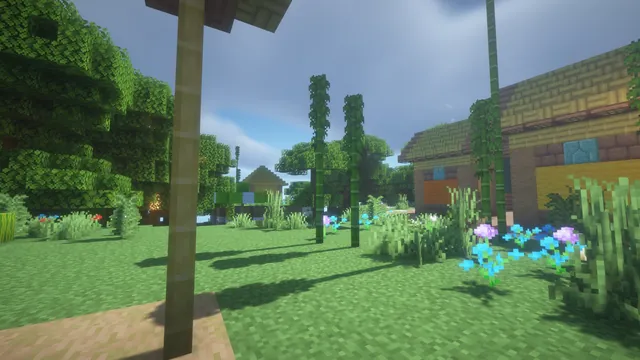 Tropical Harbor Spawn, garden path