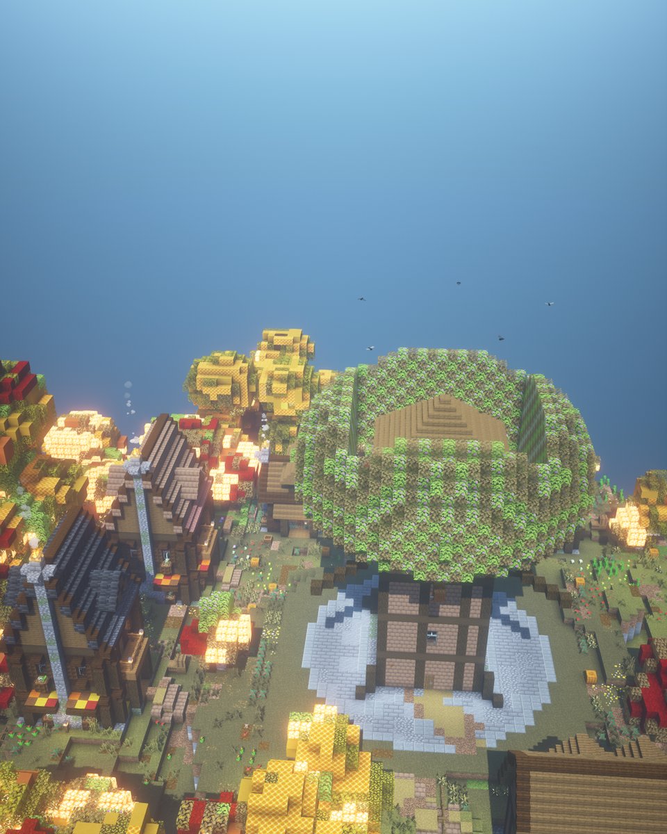 The tree house from the air
