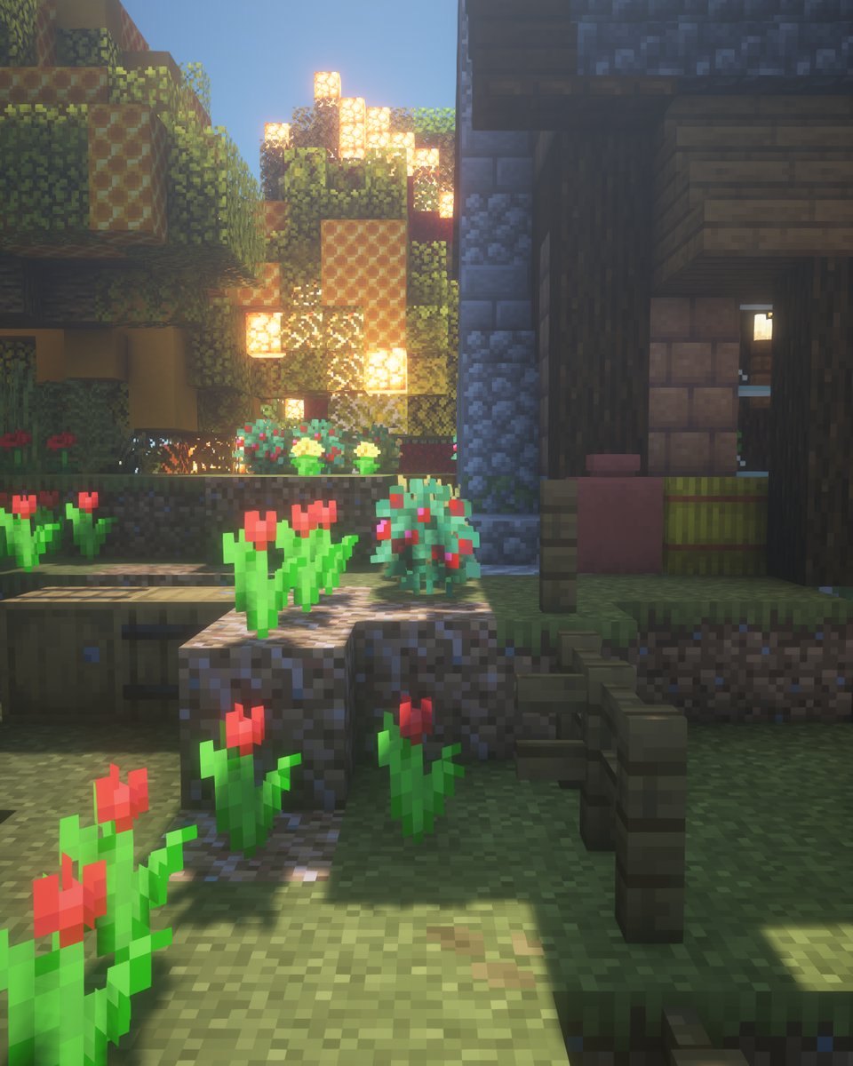 Flower beds by a house at dusk